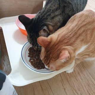 제니블링님이 올린 리뷰 사진 2