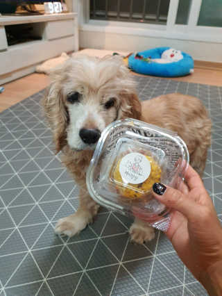 짱가엄마님이 올린 리뷰 사진 3