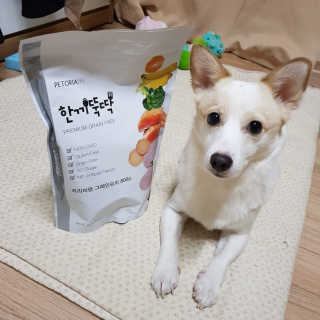 모델윤지님이 올린 리뷰 사진 2
