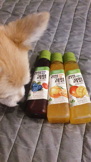 좋아님이 올린 리뷰 사진 1
