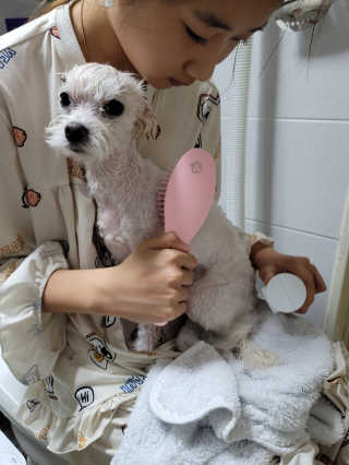 아이캔디 레인보우 볼륨S  브러쉬 for PET 미디엄 — 3점을 준 리뷰어가 2020년 12월 올린 사용 사진