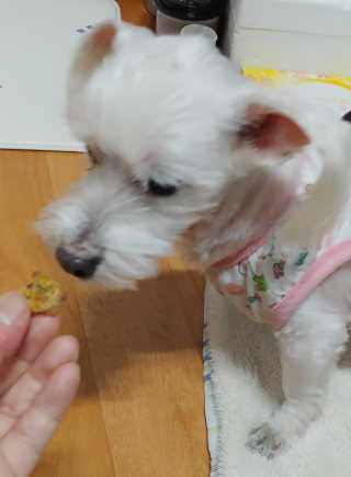 비커잠해피님이 올린 리뷰 사진 3