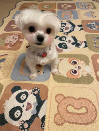 janoo11님이 올린 리뷰 사진 1