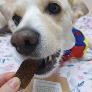 엘리님이 올린 리뷰 사진 4