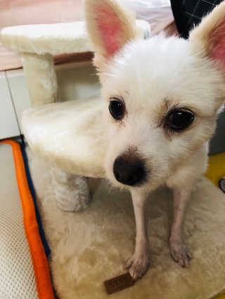 Lily님이 올린 리뷰 사진 3