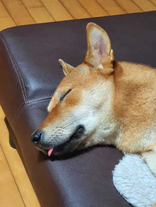 루비님이 올린 리뷰 사진 3