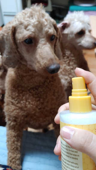 무지개둥이네님이 올린 리뷰 사진 4