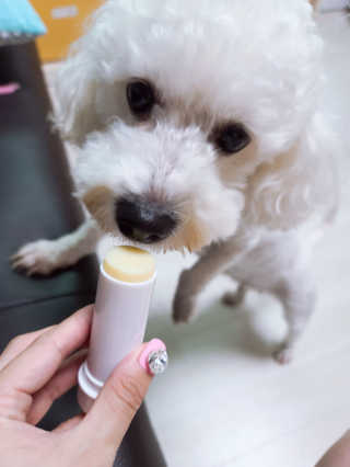 정민희님이 올린 리뷰 사진 3