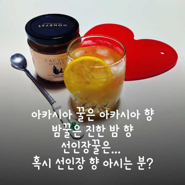 허니스트 선인장 꿀 리뷰 사진