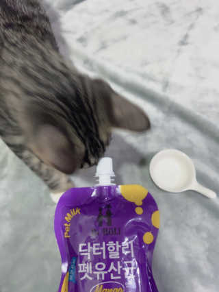 클로버님이 올린 리뷰 사진 3