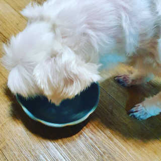 뿌꾸님이 올린 리뷰 사진 3