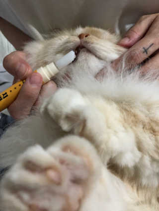 suuujin님이 올린 리뷰 사진 1