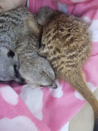 옹알이님이 올린 리뷰 사진 1