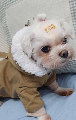 탱이님이 올린 리뷰 사진 2