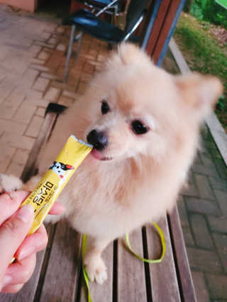 으콩님이 올린 리뷰 사진 2
