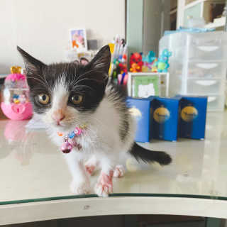 스텔라님이 올린 리뷰 사진 3