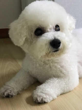 에그마요님이 올린 리뷰 사진 1
