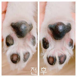 [레드허니밤]자유펫 고양이 강아지 발바닥 밤 14g — 4점을 준 리뷰어가 2020년 7월 올린 사용 사진