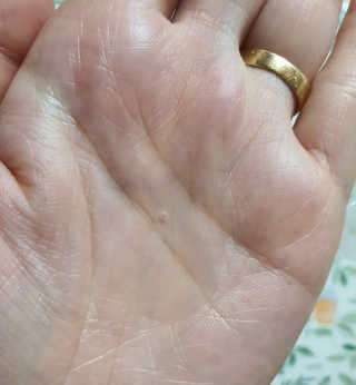 팔팔맘😄님이 올린 리뷰 사진 3