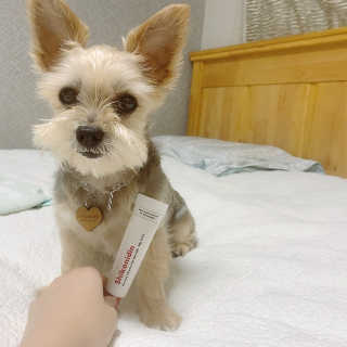 [자유펫] 시코니딘 고양이 강아지 피부 보습 연고 20g — 5점을 준 리뷰어가 2020년 7월 올린 사용 사진