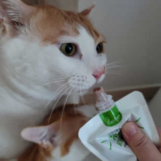 쓔리님이 올린 리뷰 사진 3