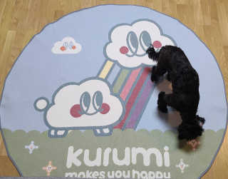 유짱님이 올린 리뷰 사진 2