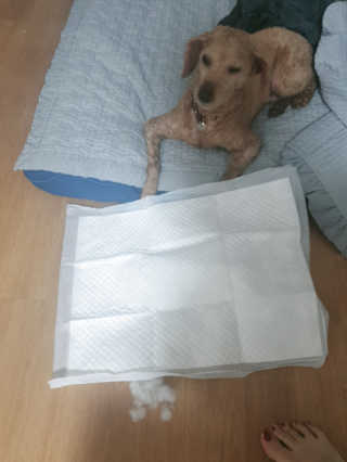 꾹꾹이님이 올린 리뷰 사진 3