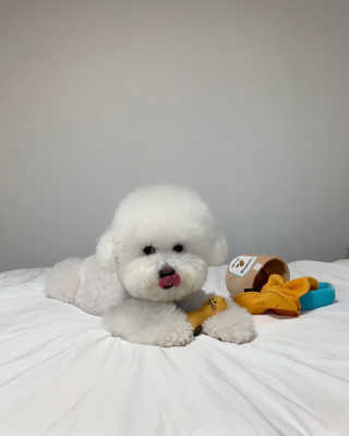 윤긍정님이 올린 리뷰 사진 1