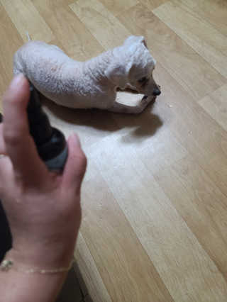 쮸아앙님이 올린 리뷰 사진 1