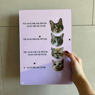 앙주비님이 올린 리뷰 사진 3