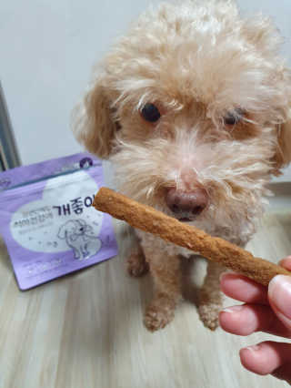 My Pet Care 천연단백질 치아건강에 개좋아 — 4점을 준 리뷰어가 2020년 11월 올린 사용 사진