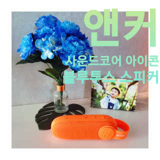 앤커 사운드코어 아이콘 블루투스 스피커 — 5점을 준 리뷰어가 2020년 6월 올린 사용 사진
