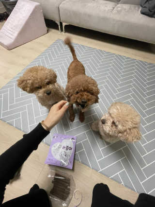 My Pet Care 천연단백질 치아건강에 개좋아 — 5점을 준 리뷰어가 2020년 11월 올린 사용 사진