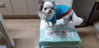 케이영님이 올린 리뷰 사진 3