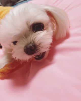 뚜덩맘님이 올린 리뷰 사진 2