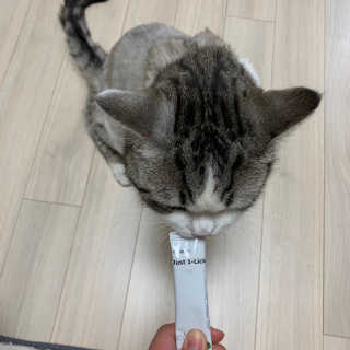 [펫토리아] 건강하게 리뉴얼된 NEW 짜먹는 한입뚝딱 — 5점을 준 리뷰어가 2020년 4월 올린 사용 사진