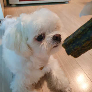 hosu.1230님이 올린 리뷰 사진 4