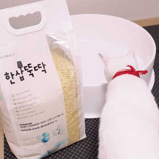펫토리아 한삽뚝딱 프리미엄 고양이 두부모래 — 5점을 준 리뷰어가 2020년 8월 올린 사용 사진