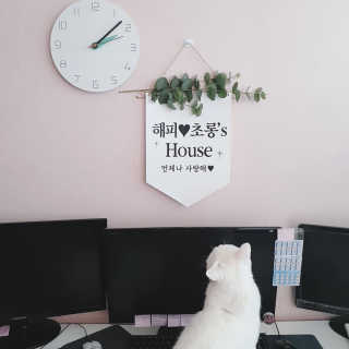 비오맘님이 올린 리뷰 사진 1
