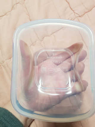 실리팟 냉동밥 보관용기 x 4Pset — 5점을 준 리뷰어가 2020년 11월 올린 사용 사진