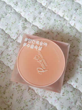 [블랙루즈] 피치 커버 벨벳 쿠션 2종 중 택1 — 4점을 준 리뷰어가 2020년 12월 올린 사용 사진