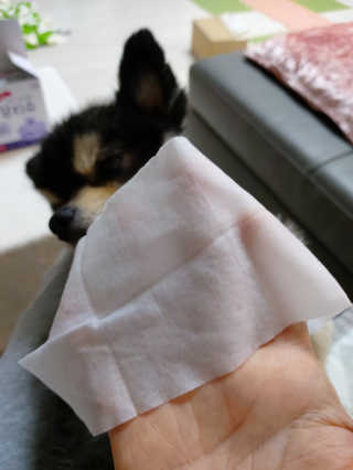 복도리님이 올린 리뷰 사진 3
