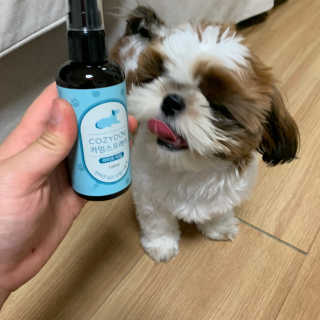 코지독 카밍스프레이 100ml — 5점을 준 리뷰어가 2020년 6월 올린 사용 사진