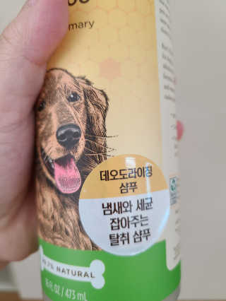 미니미님이 올린 리뷰 사진 2
