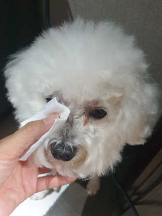 인아지아맘님이 올린 리뷰 사진 4