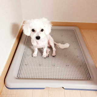 또롱님이 올린 리뷰 사진 2