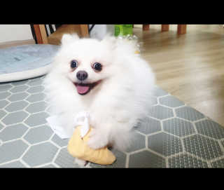 심쿵해에님이 올린 리뷰 사진 4