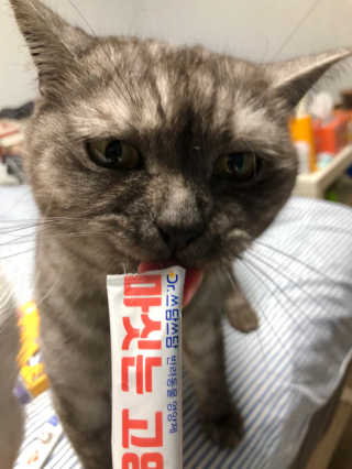 지연님이 올린 리뷰 사진 3