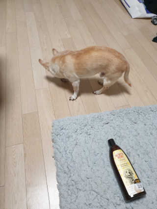 꽃사과님이 올린 리뷰 사진 3