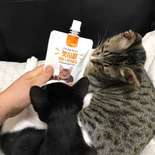 사랑스런초딩님이 올린 리뷰 사진 4